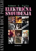 Електрична сновиђења
