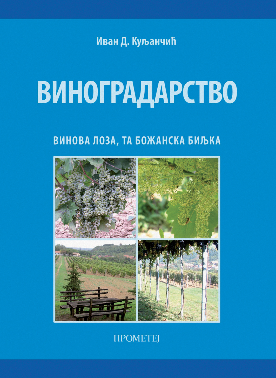 ВИНОГРАДАРСТВО: винова лоза, та божанска биљка