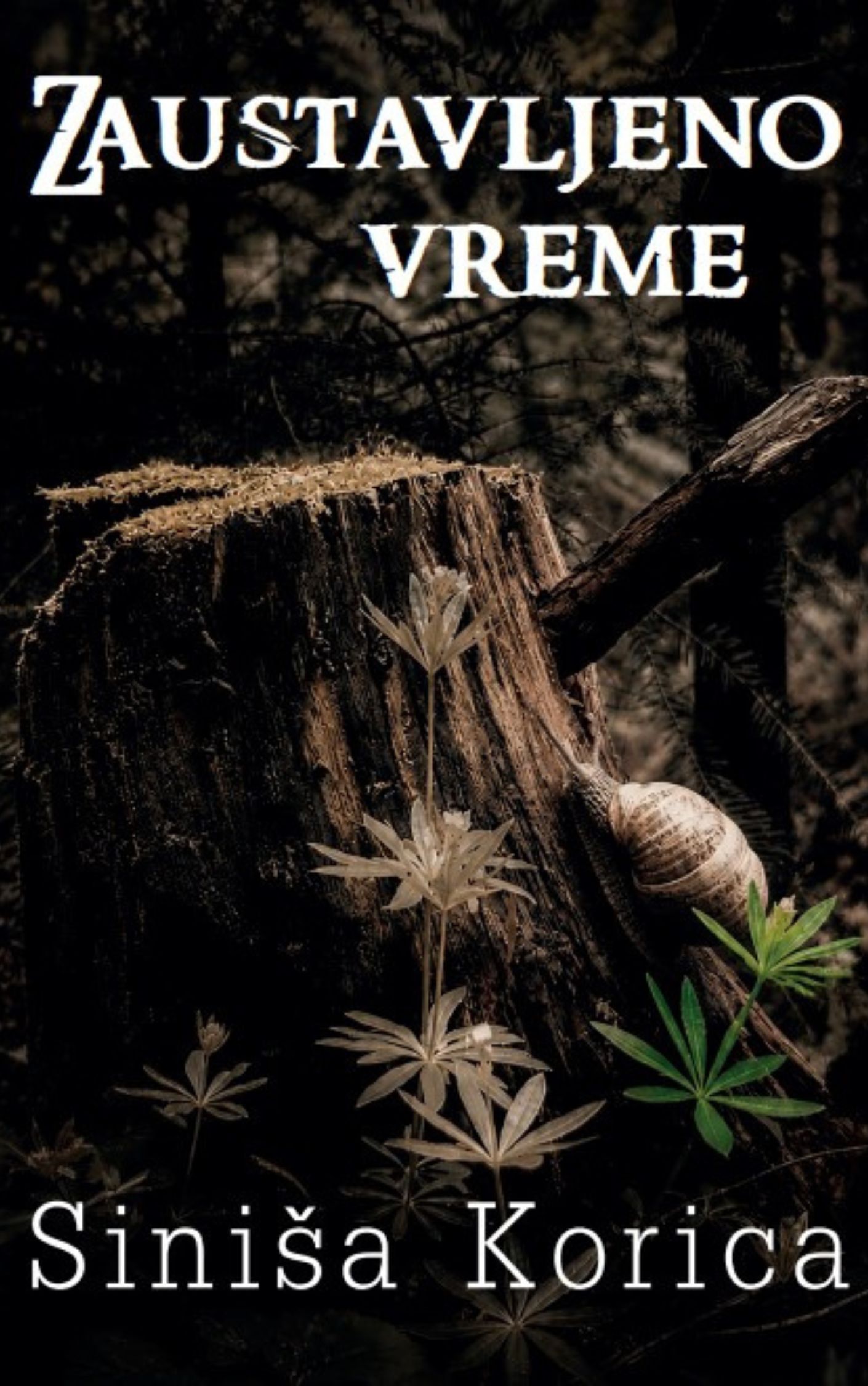 Заустављено време